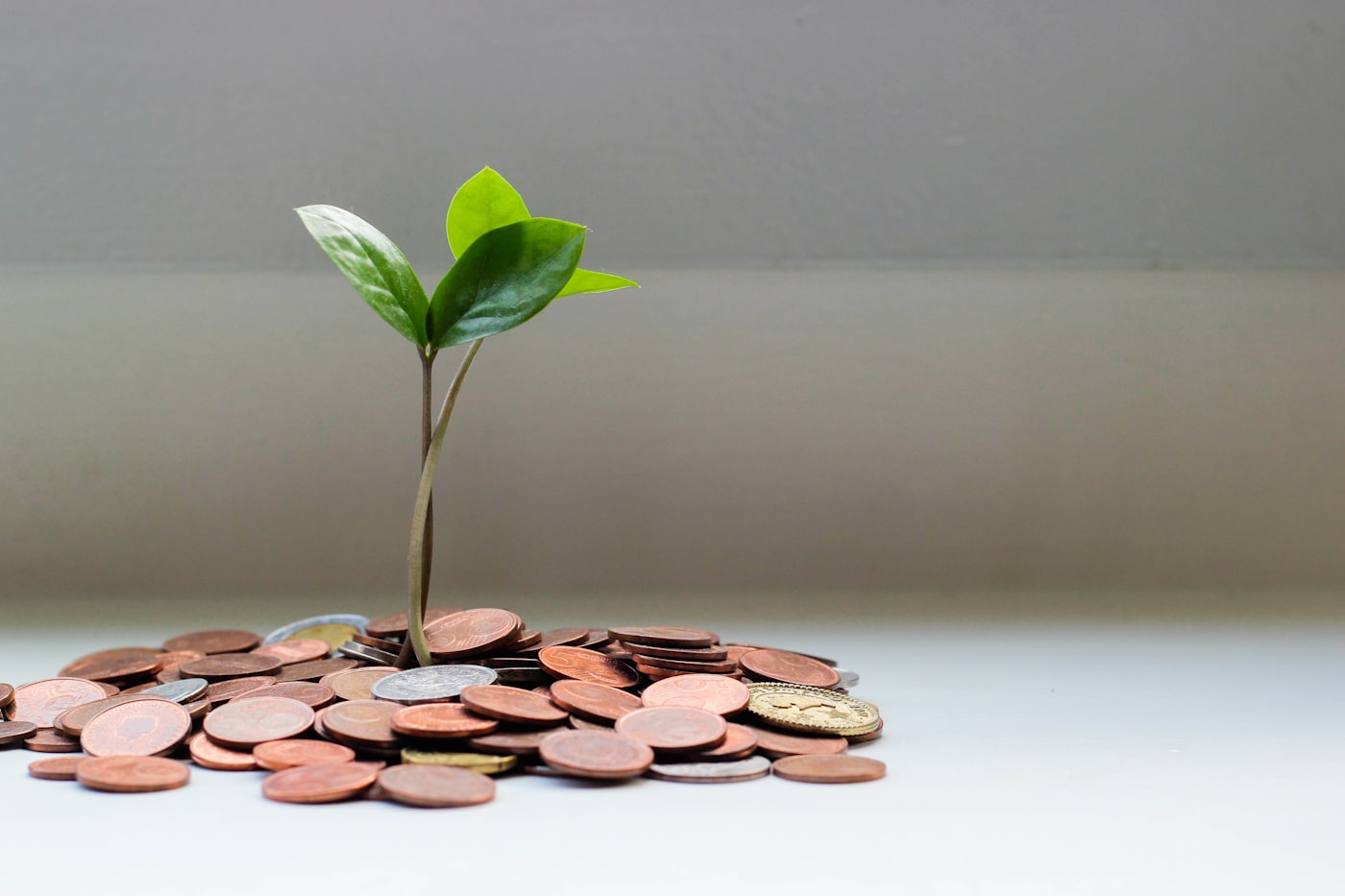 Planta creciendo sobre monedas, símbolo del crecimiento sostenible